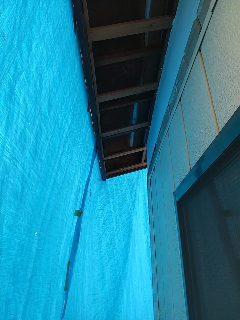DSC_1019
